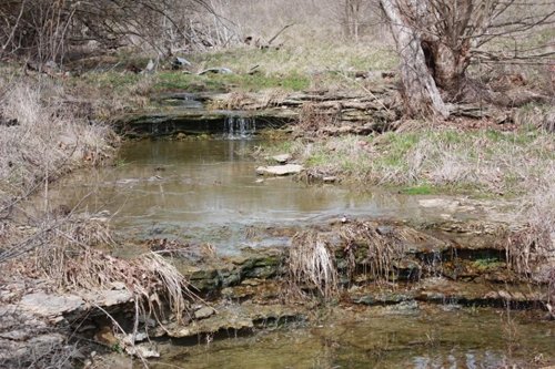 Property photo 6 - ABSOLUTE AUCTION - 298 Acres Offered in 4 Tracts